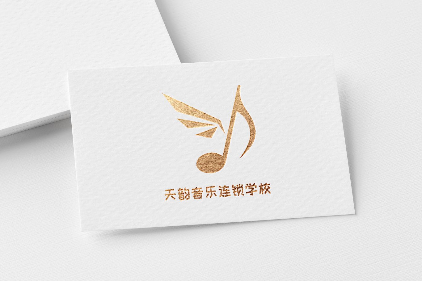 天韵音乐连锁学校logo