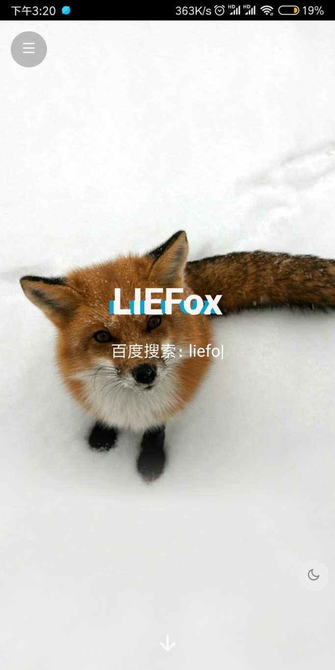 LIEFox