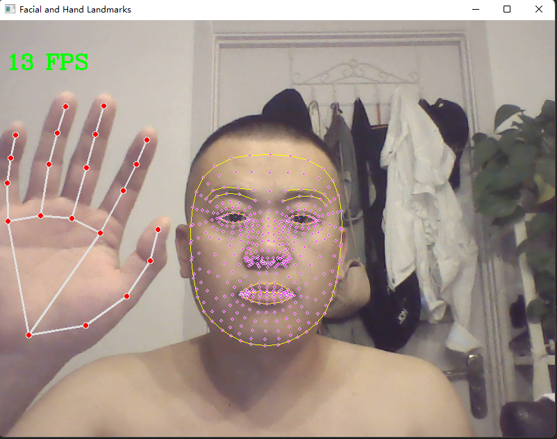 AI人脸识别，手势捕捉