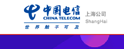 上海电信sdn家庭网关项目